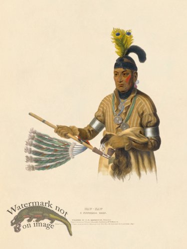 (image for) Naw-kaw Winnebago
