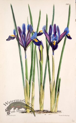 (image for) CBMS_0023