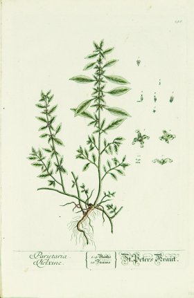 Blackwell German 137