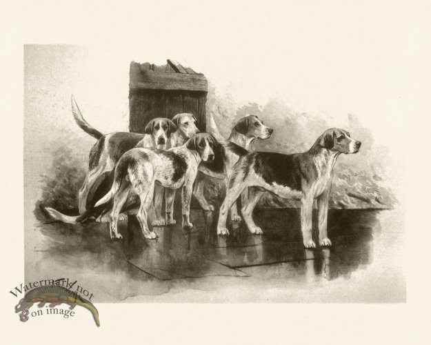 (image for) Modern Dogs 11