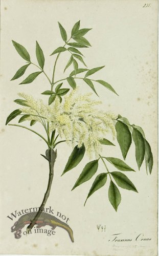 (image for) 1828_Gmp 062