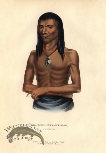 (image for) Wa-Bish-Kee-Pe-Nas