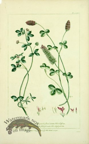 (image for) Philip Miller 091