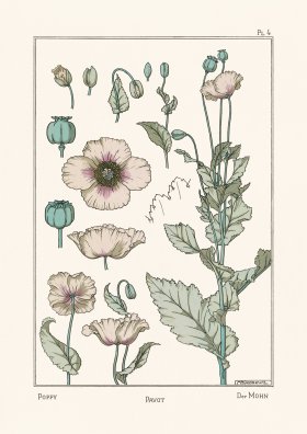 (image for) Le Plante 04