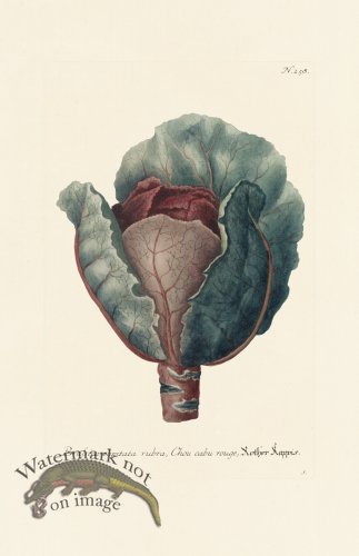 (image for) Weinmann PL 258