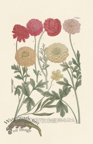 (image for) Weinmann PL 852