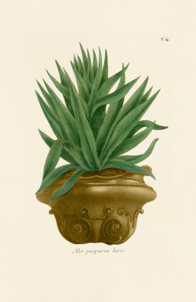(image for) Weinmann PL 064