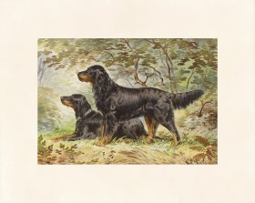 Pope Dog 05 Black and Tan Setter