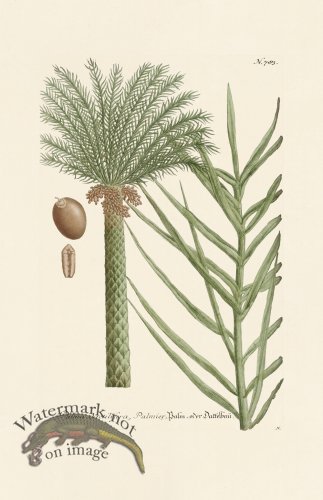 (image for) Weinmann PL 783