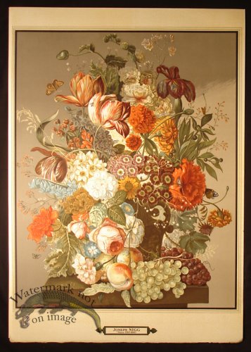 (image for) Botanical 05