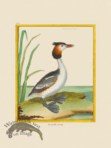 (image for) Martinet Bird 400