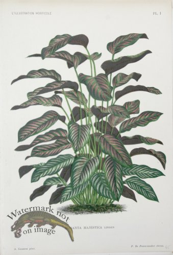 (image for) Horticult LP 02