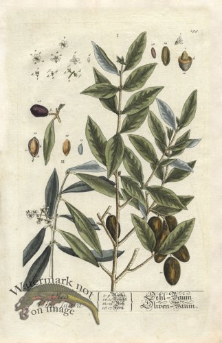 (image for) Blackwell GE 199