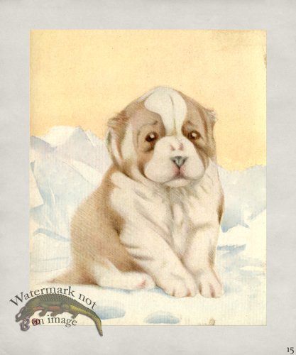 (image for) Puppy Dog 15