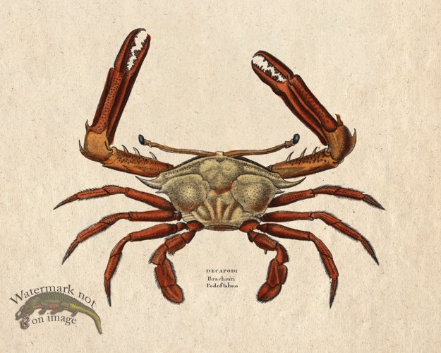 (image for) Sand_Soldier_13