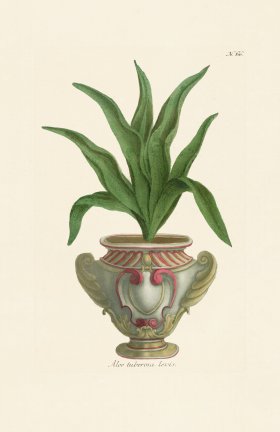 (image for) Weinmann PL 066