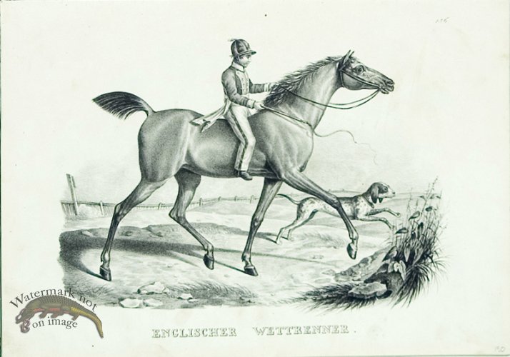 (image for) English Runner