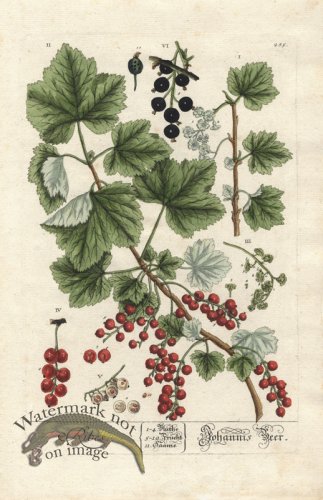 (image for) Blackwell GE 285