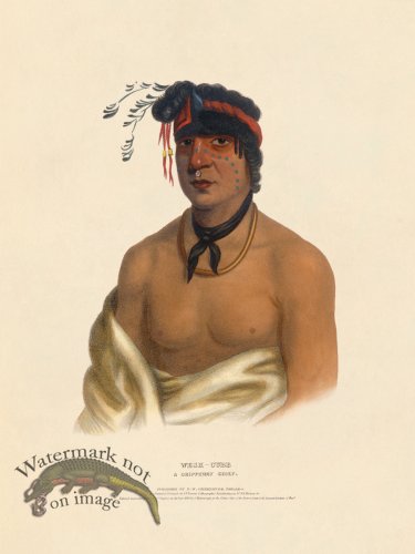 (image for) Wesh-cubb Chippeway