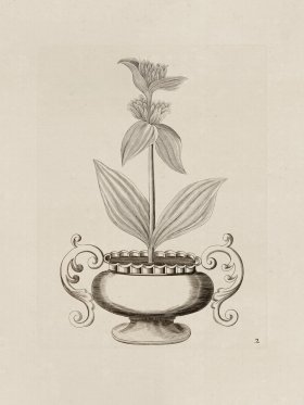 Potted Plant 02