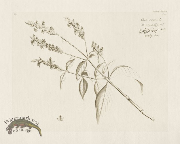 (image for) HORTUS VOL 02 21