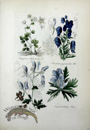 (image for) Deutschlands Flora 10