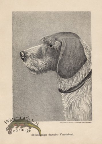 (image for) 1890s Dogs 30