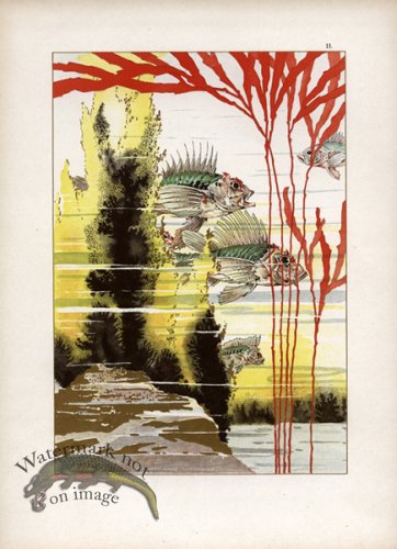 (image for) Gold Leaf Fish