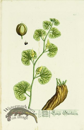 (image for) Blackwell German 150