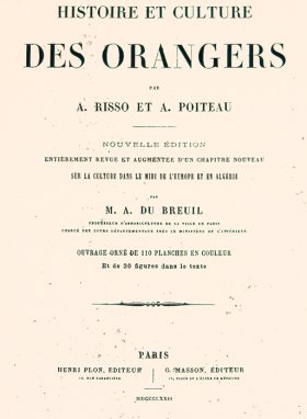 Poiteau Citrus Title