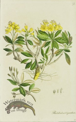 (image for) 1828_Gmp 064