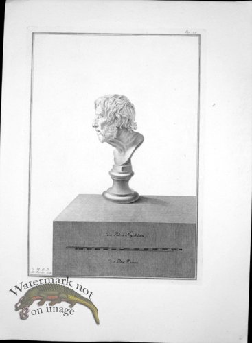 (image for) Ercolano Bust 18