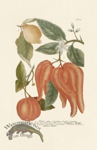 (image for) Weinmann PL 702