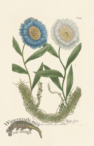 (image for) Weinmann PL 449