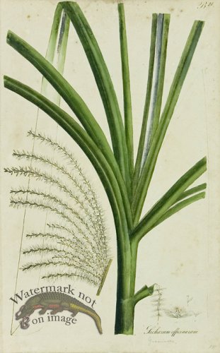 (image for) 1828_Gmp 026