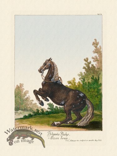 (image for) Ridingers Horses 34