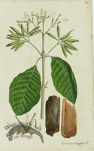 (image for) 1828_Gmp 043