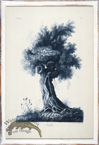 (image for) Blue Trees in Distressed White 04