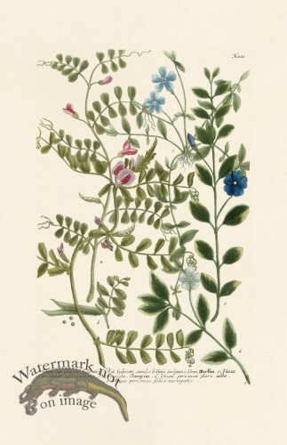 (image for) Weinmann PL 1010