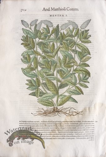 (image for) WB Botanicals 60