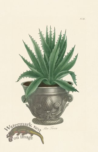 (image for) Weinmann PL 065