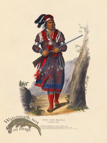(image for) Tuko-see-mathla Seminole
