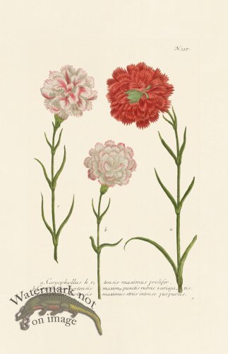 (image for) Weinmann PL 337