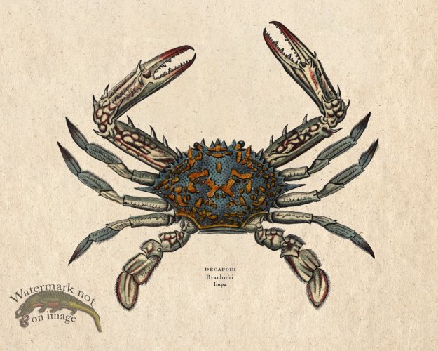 (image for) Sand_Soldier_14