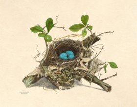 (image for) Eggs of Ohio 002