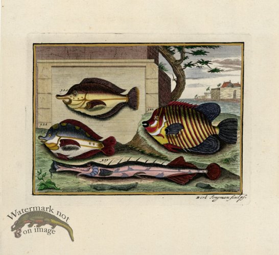 (image for) Valentijn 02