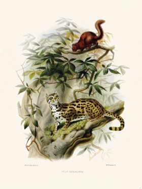 Elliot Cat 22 Cartoon Button