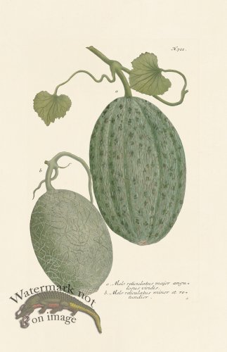 (image for) Weinmann PL 722