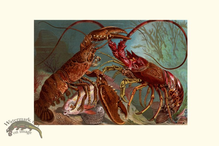 (image for) Underwater 32