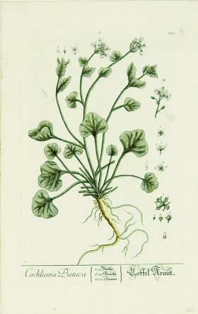 Blackwell German 069